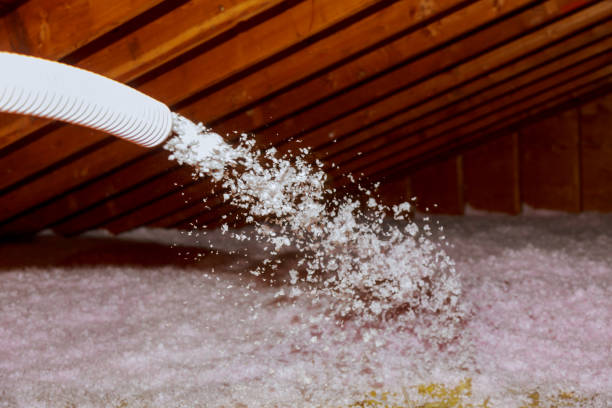 Best Basement Insulation  in USA